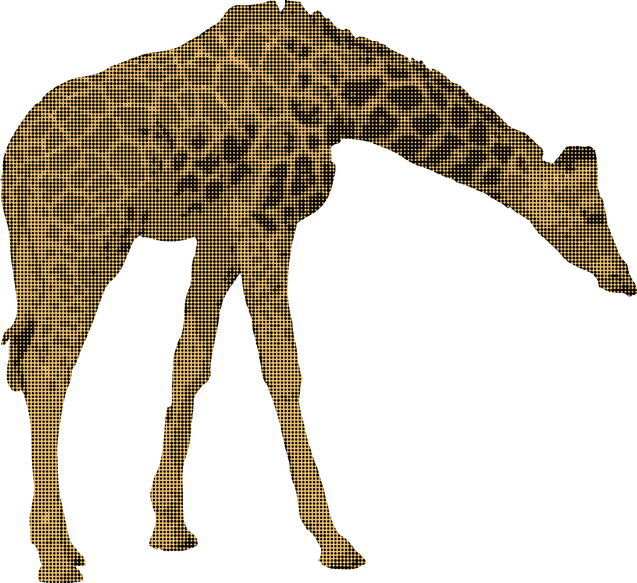 Duograph of a giraffe facing toward the right with its head down