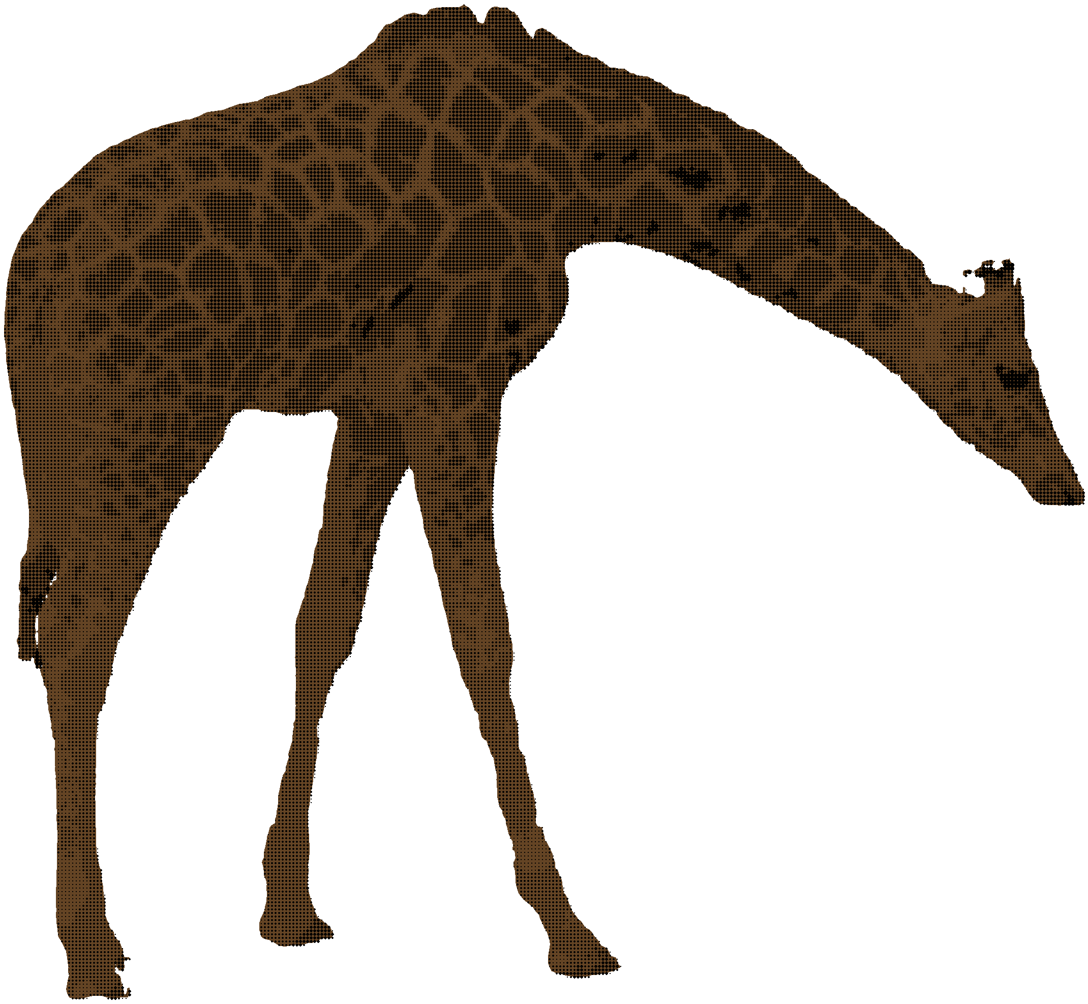 Duograph giraffe, palm toward the camera, dark brown background under the halftone giving the impression of a range of brown colours, transparent outside the giraffe