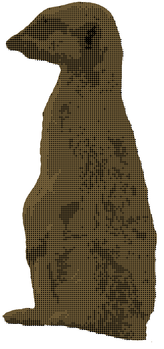 Duograph meerkat, brown background. Looking toward the left.